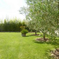 jardin pelouse (oliviers, bambous)